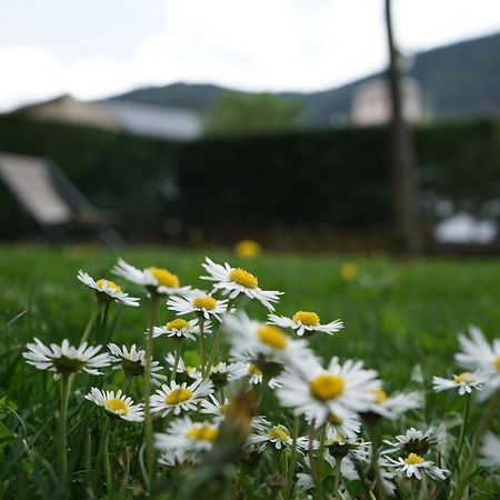 Apartamento Con Jardin En La Cerdanya Err Exterior photo
